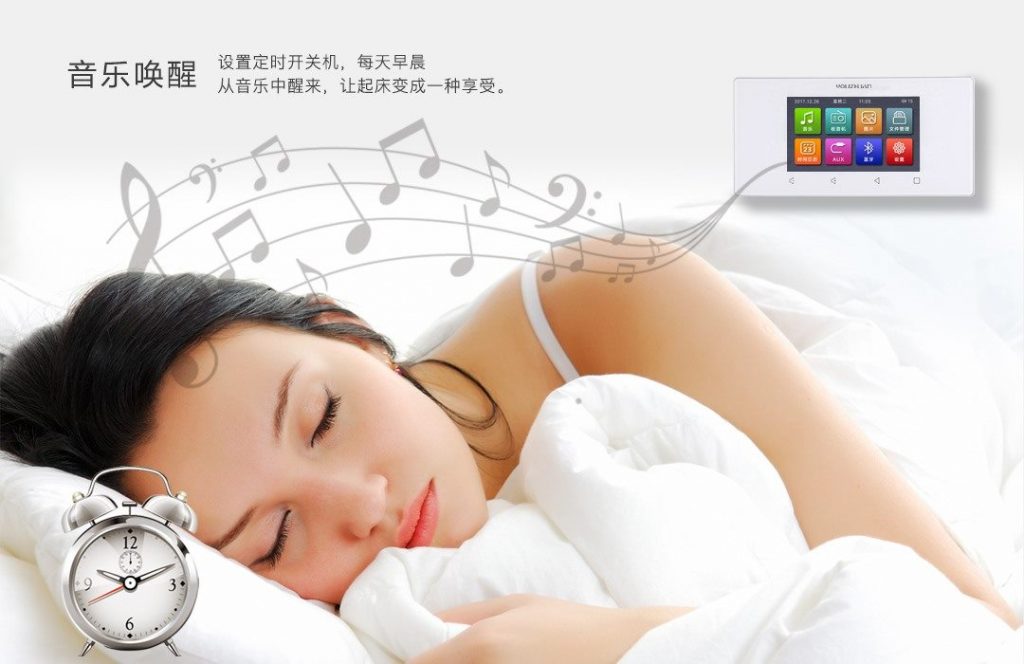 YZ200T背景音乐主机 详情图