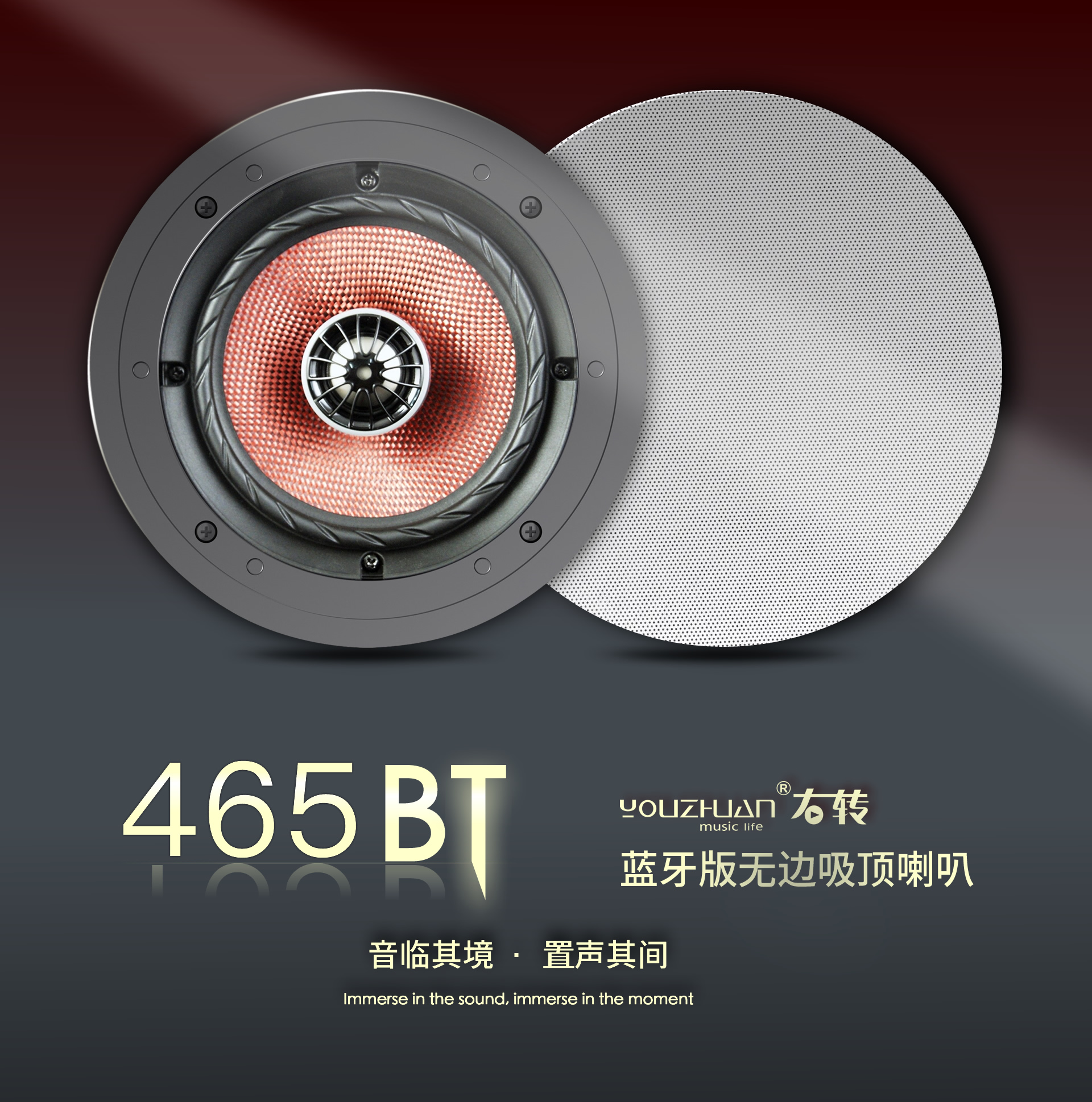蓝牙吸顶音箱 YZ465BT 详情图