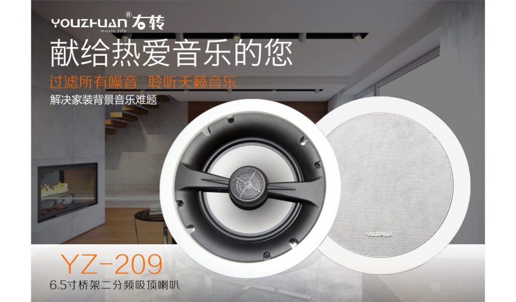 6.5寸吸顶扬声器 YZ209 详情图