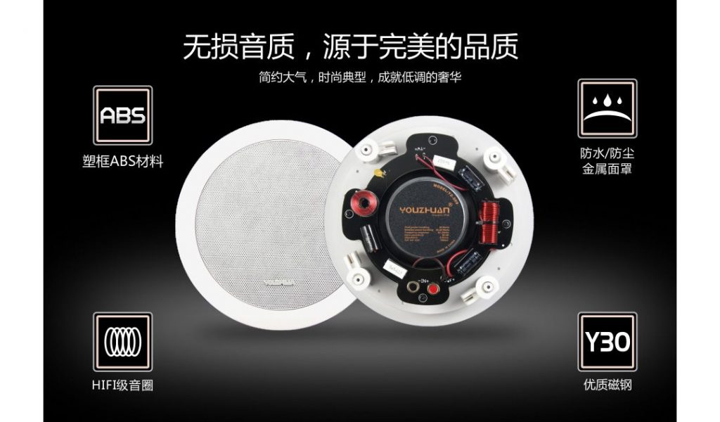 6.5寸吸顶扬声器 YZ209 详情图