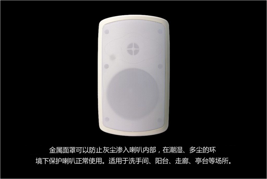 挂式二分频音箱 YZ216 详情图