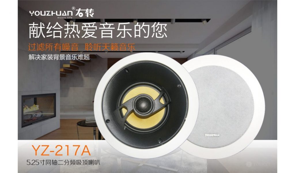 5.25寸吸顶扬声器 YZ217A 详情图