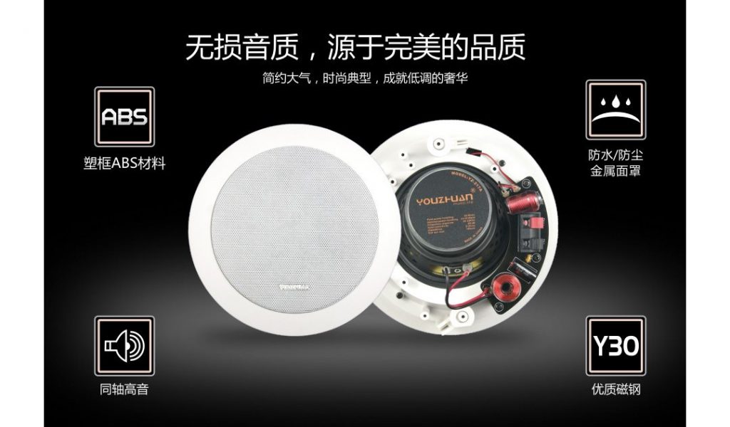 5.25寸吸顶扬声器 YZ217A 详情图