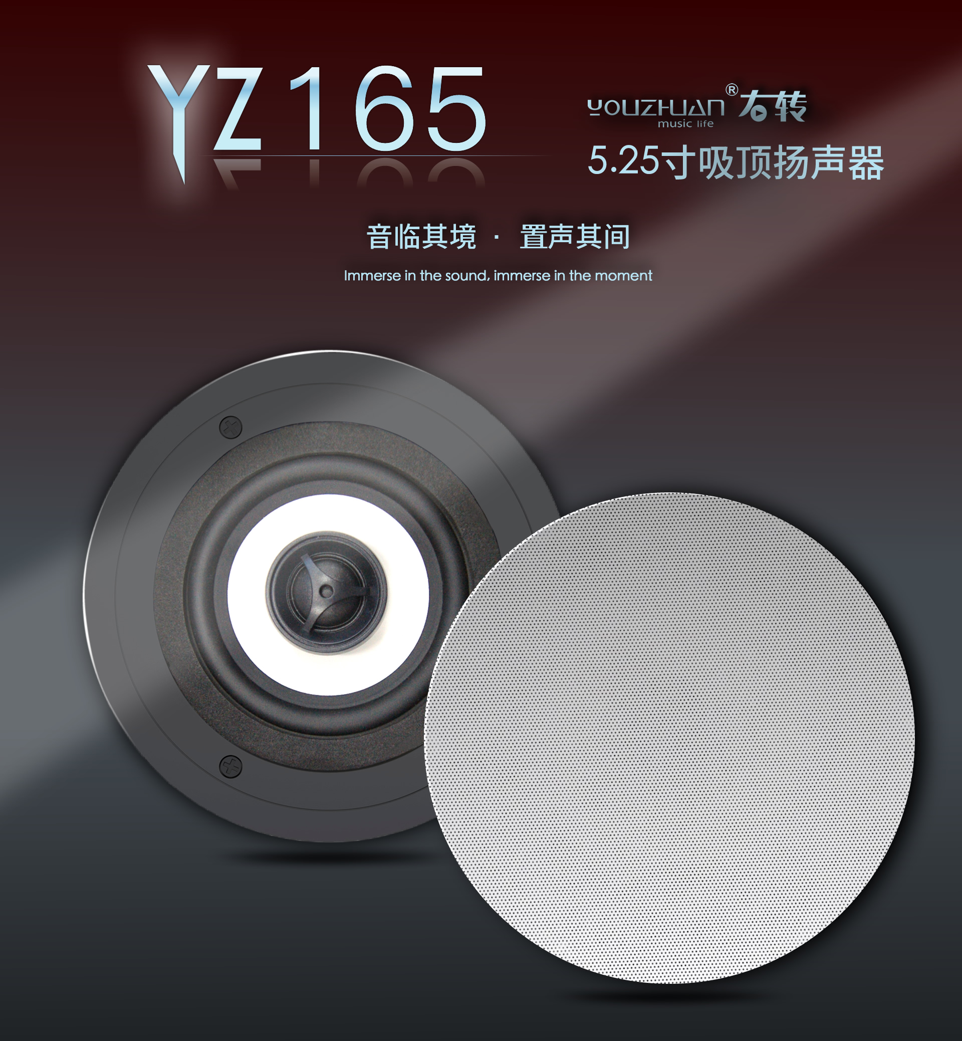 5.25寸吸顶扬声器 YZ165 详情图